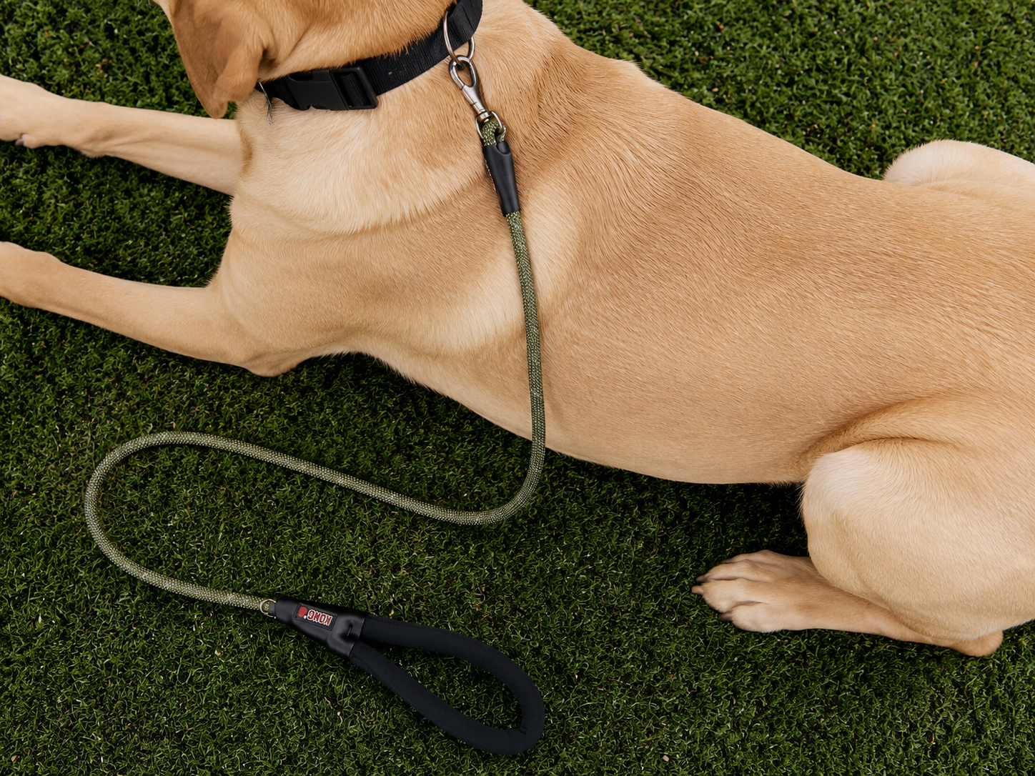 ITNaps pet furniture detail