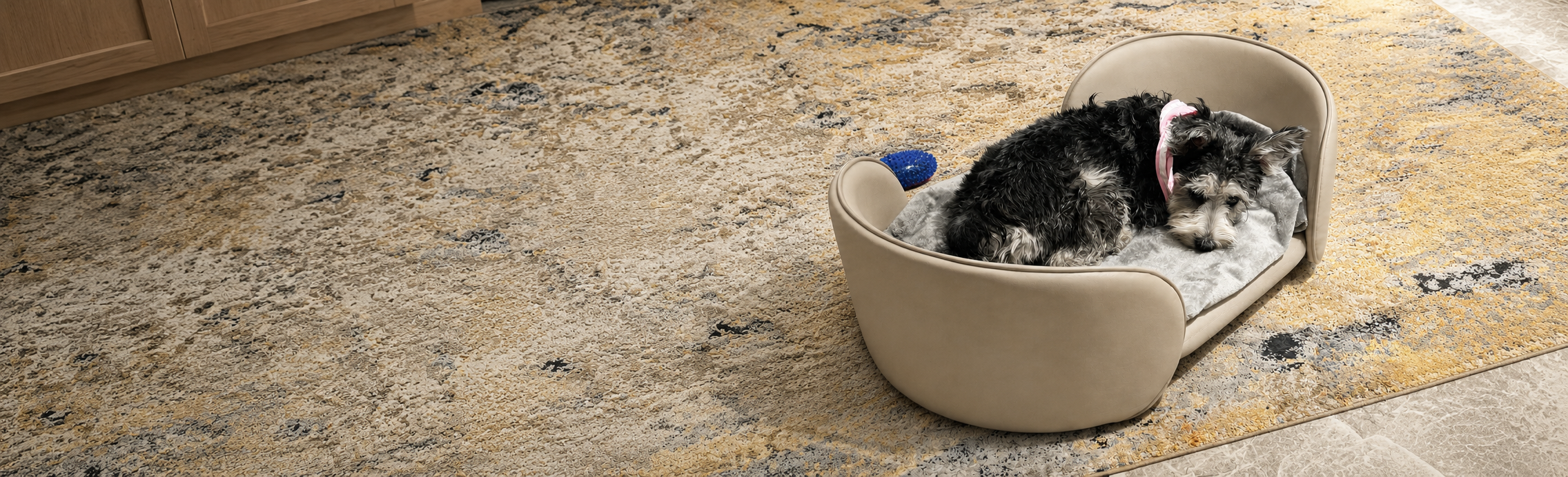 Pet lifestyle hero image