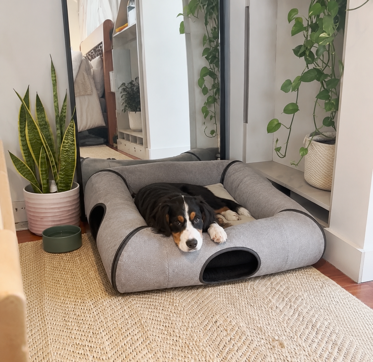 ITNaps pet furniture detail