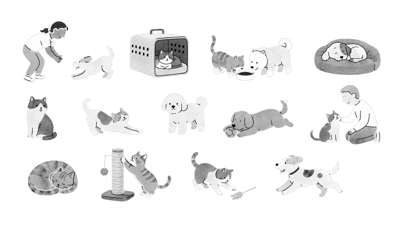 Illustrated real pets and people