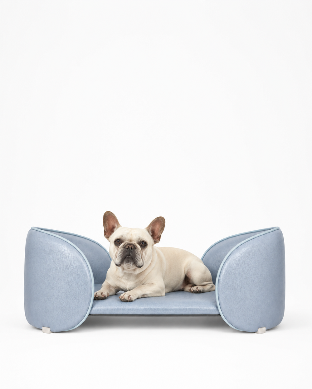 Henry Pet Sofa Bed in Powder Blue with a French bulldog resting on the bed
