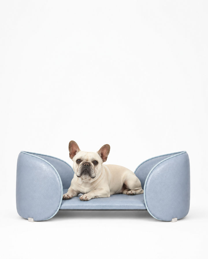 Henry Pet Sofa Bed in Powder Blue with a French bulldog resting on the bed