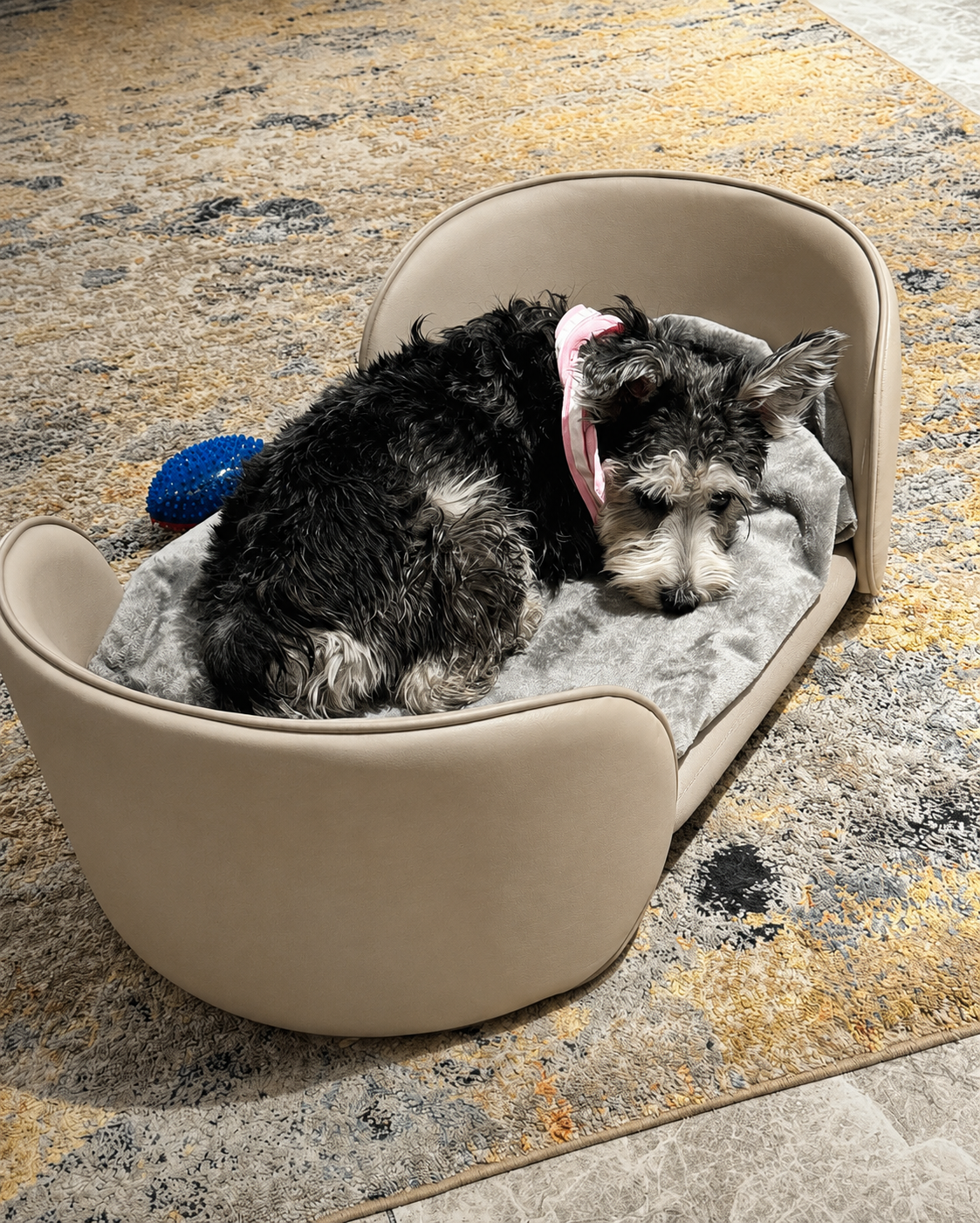 Henry Pet Sofa Bed in Warm Beige with a small dog resting on a rug