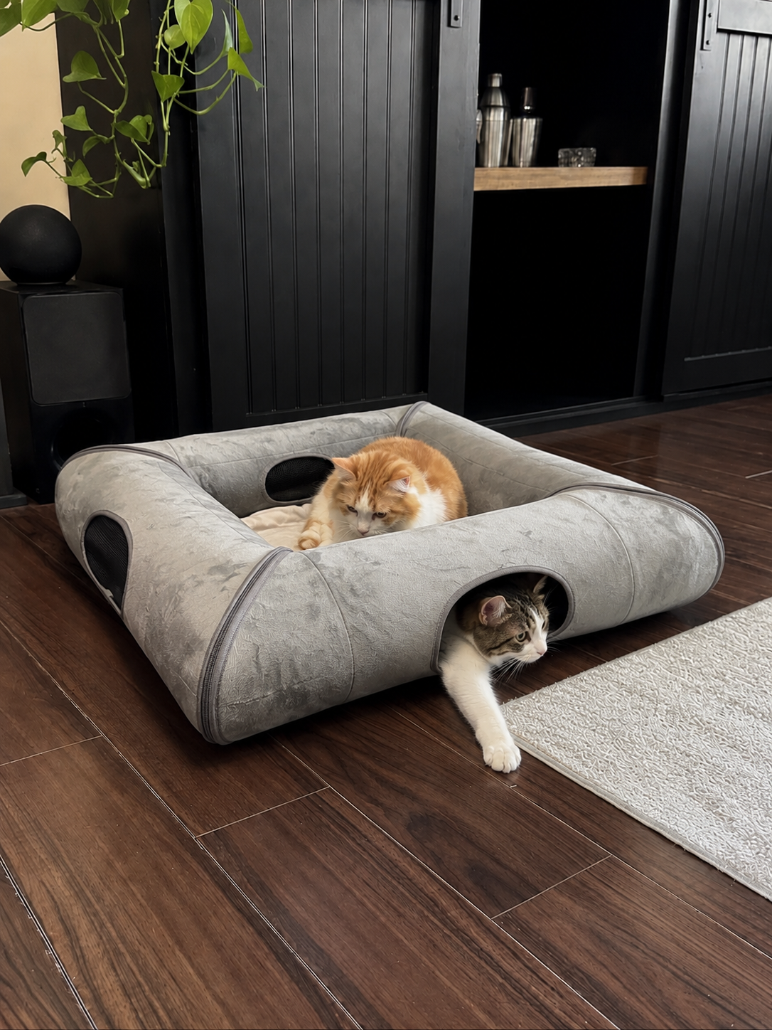 ITNaps everyday pet essentials