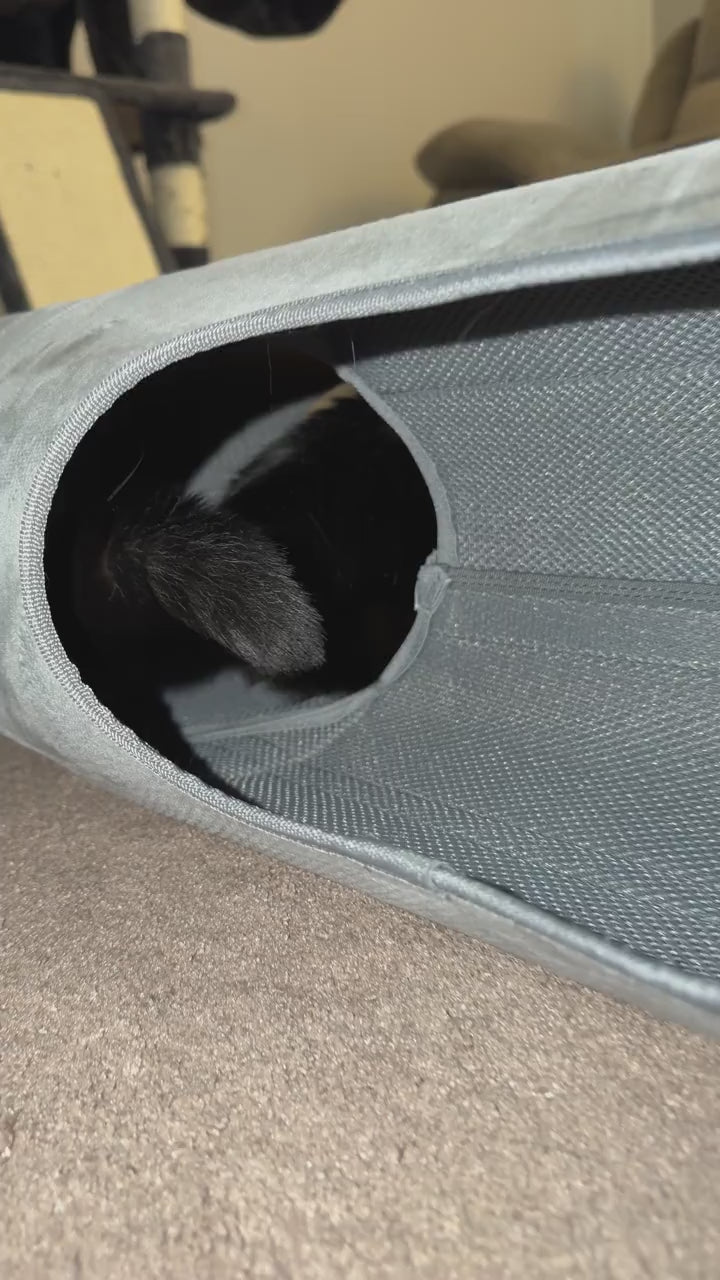 A black-and-white cat inside the gray ITNaps Cat Tunnel Bed.