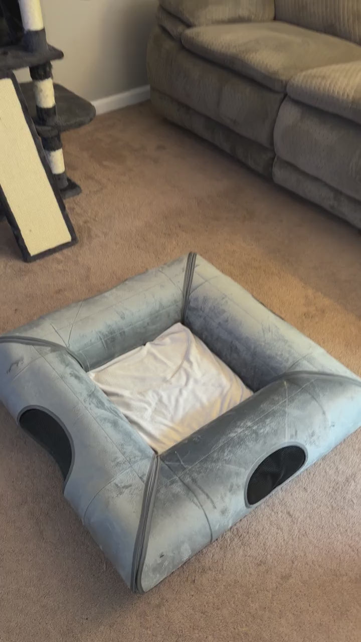The ITNaps Cat Tunnel Bed beside a sofa and cat tree, with a black-and-white cat walking past.