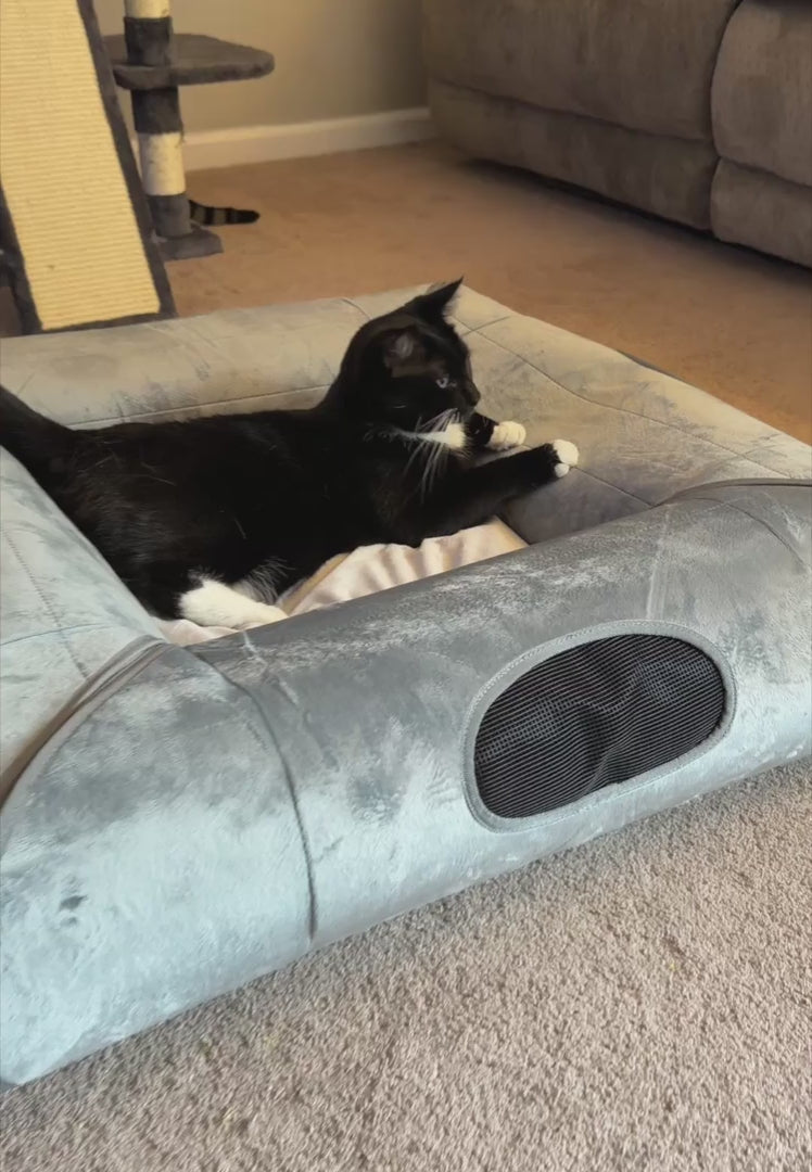Black and white cat resting on the center cushion of the ITNaps Cat Tunnel Bed
