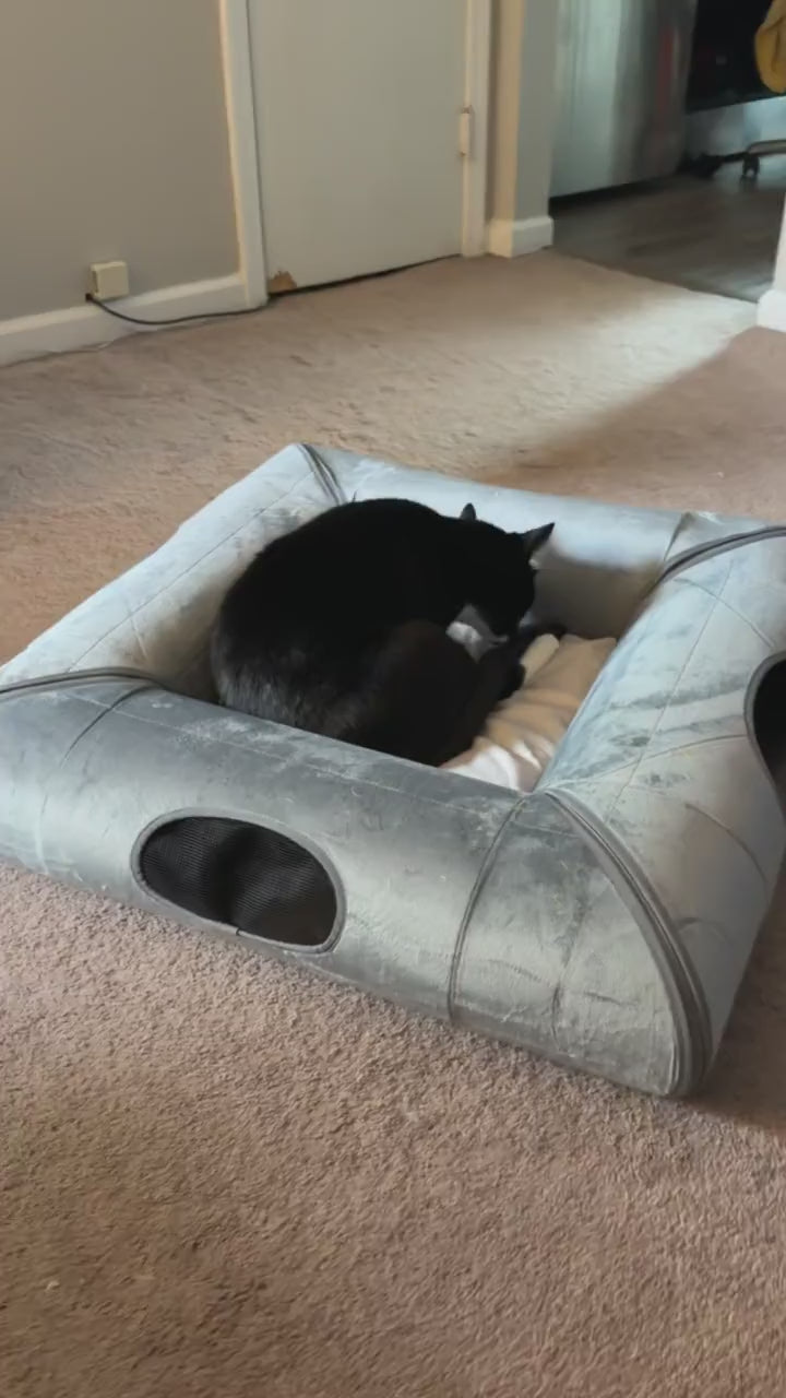 A black-and-white cat grooming on the cream-colored center cushion of the tunnel bed.