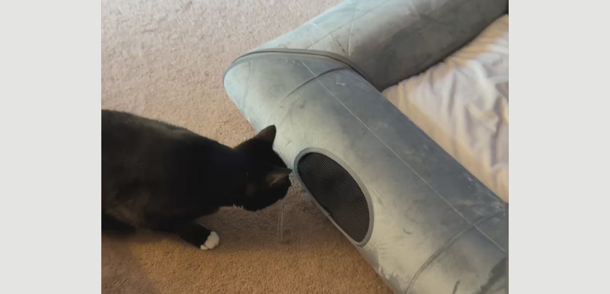 Cat exploring an entrance of the ITNaps Cat Tunnel Bed