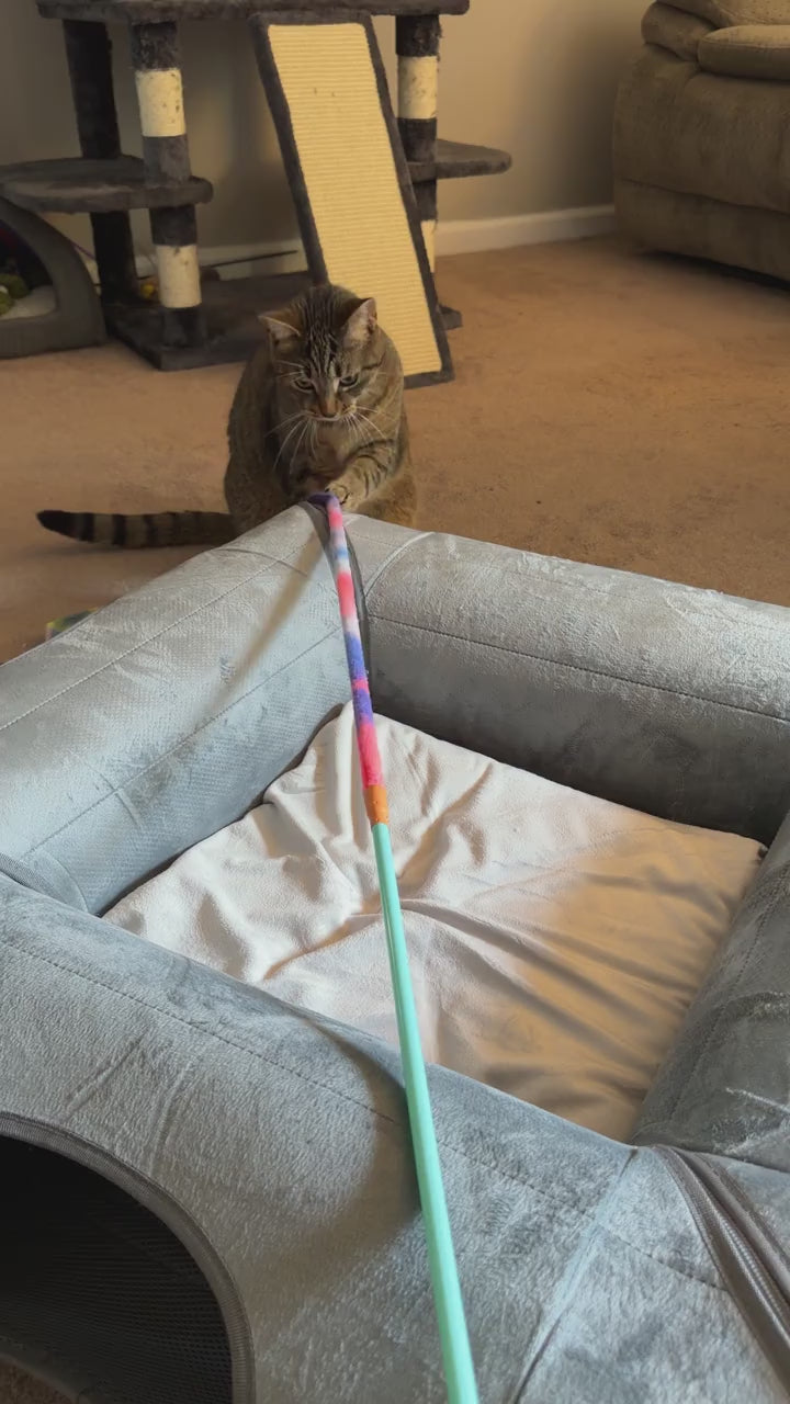 A tabby watching and reaching toward a wand toy beside the ITNaps Cat Tunnel Bed.