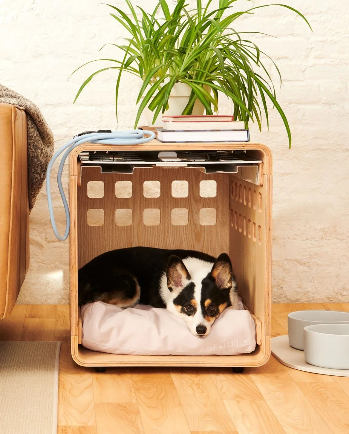 Dog resting in a wooden crate table
