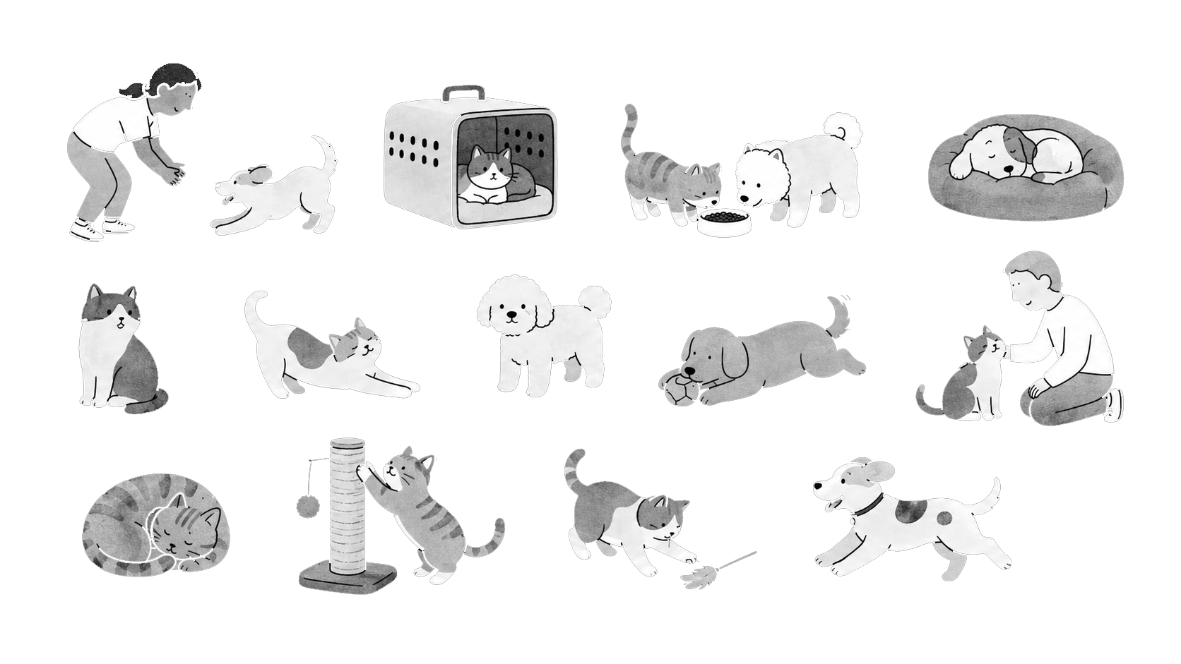 ITNaps pet home illustration